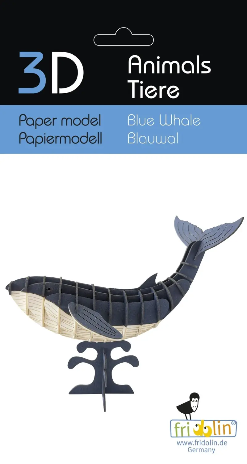 3D-Modell, Blauwal, Spezialkarton, gelasert