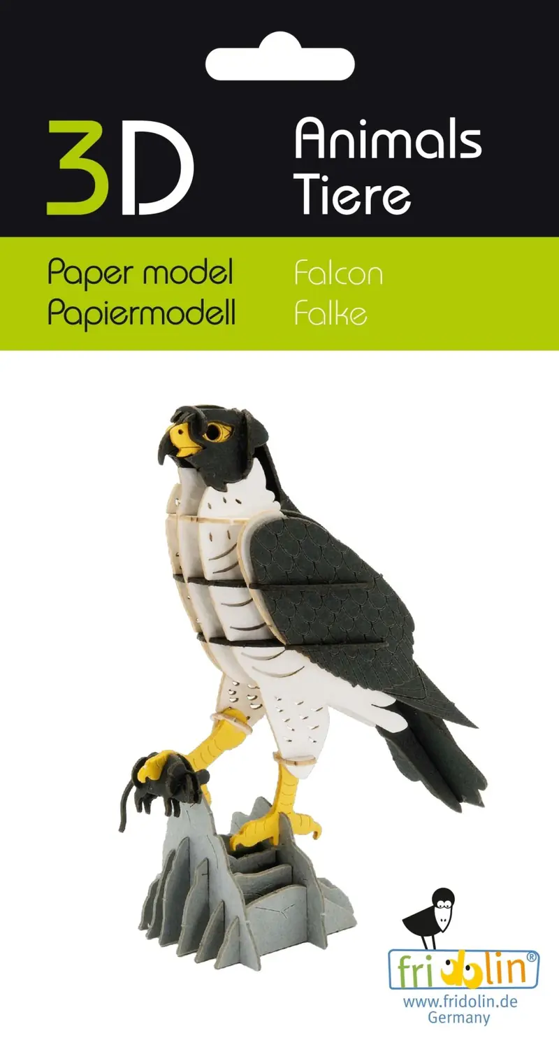 3D-Modell, Falke, Spezialkarton, gelasert