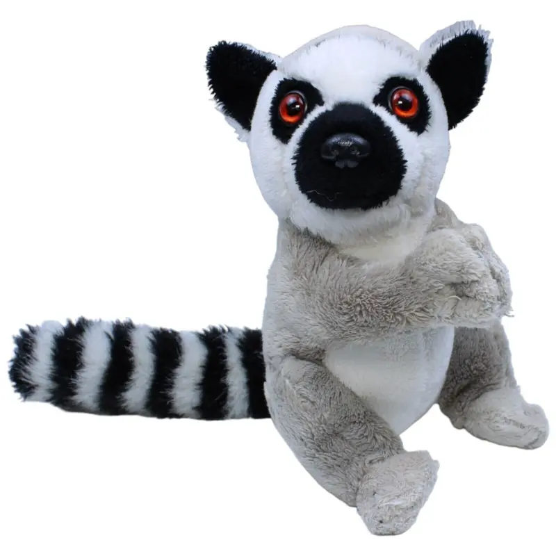 Affe, Katta mit Kletthänden