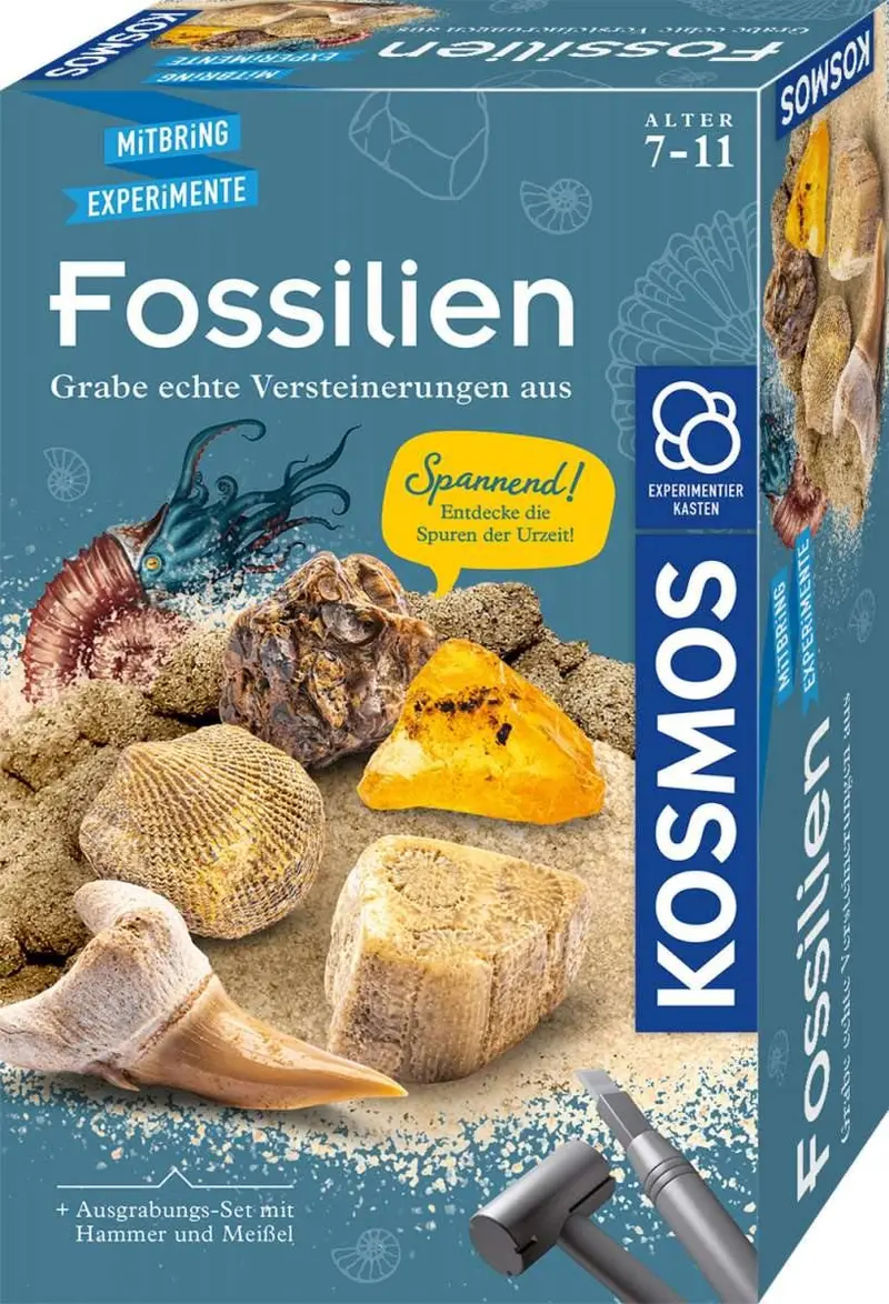 Ausgrabungsset Fossilien