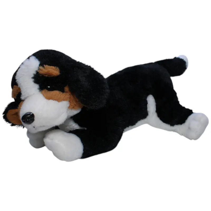 Berner Sennenhund Welpe