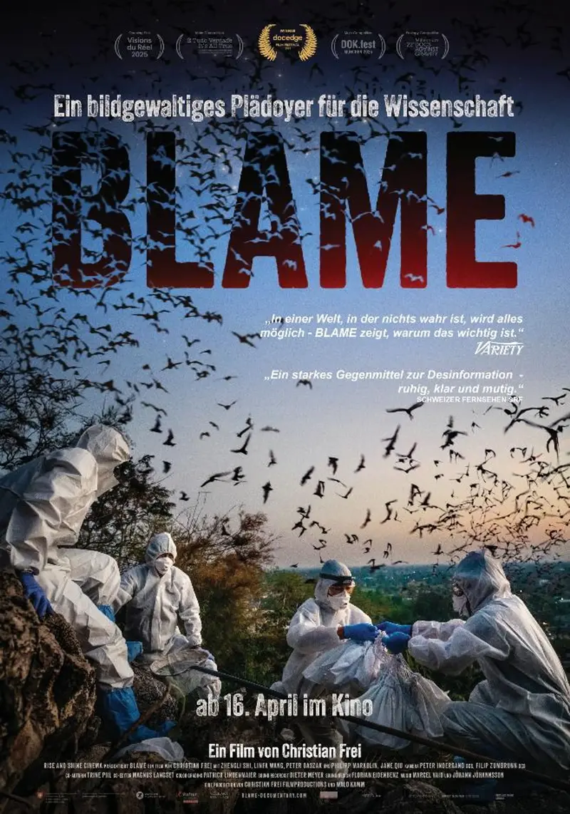 Blame - DVD