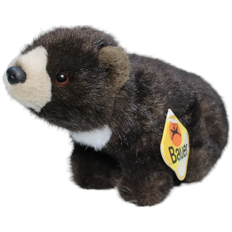 Braunbär