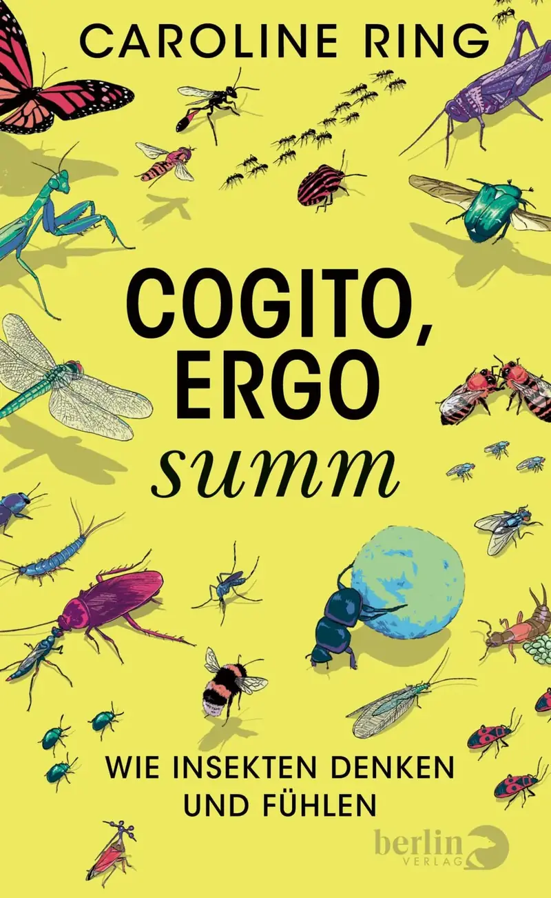Cogito, ergo summ