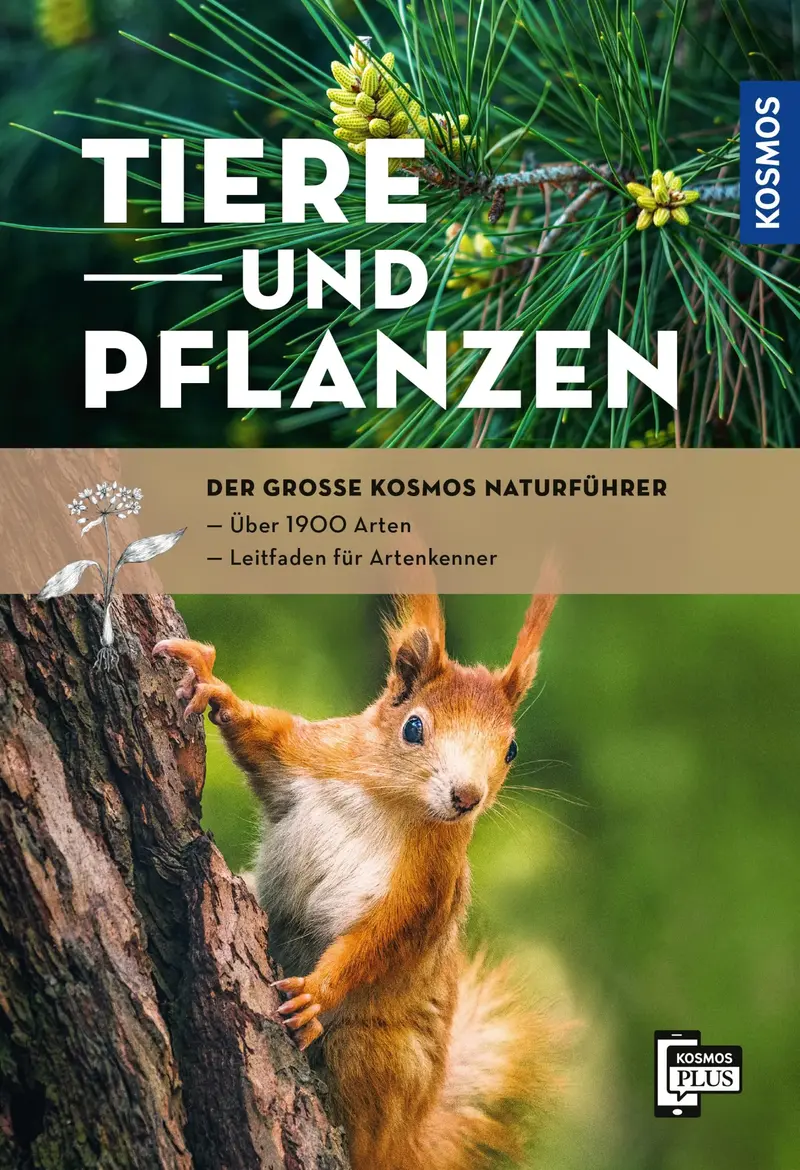 Der große Kosmos-Naturführer Tiere und Pflanzen