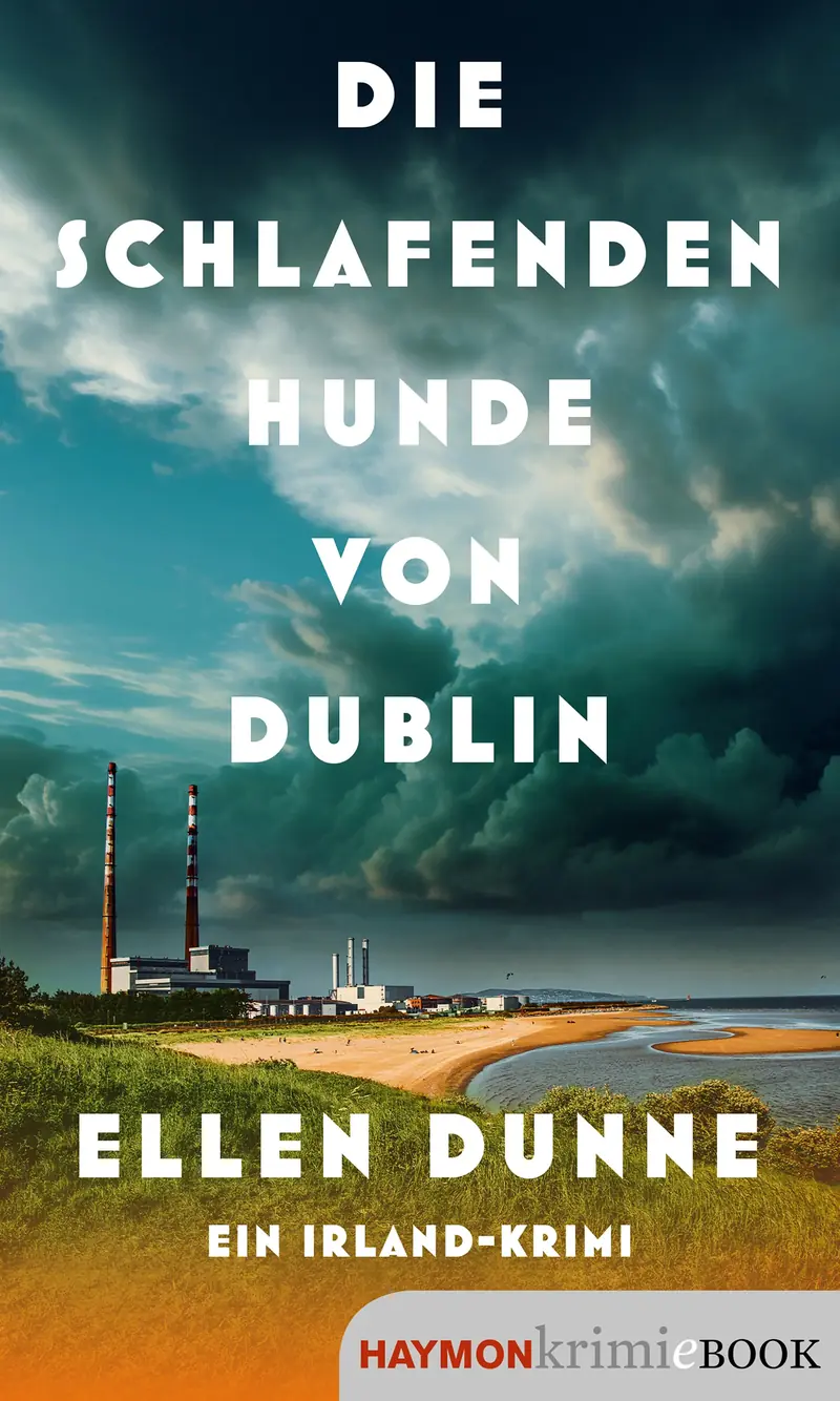 Die schlafenden Hunde von Dublin