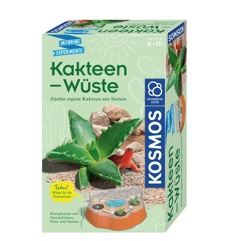 Kakteen-Wüste