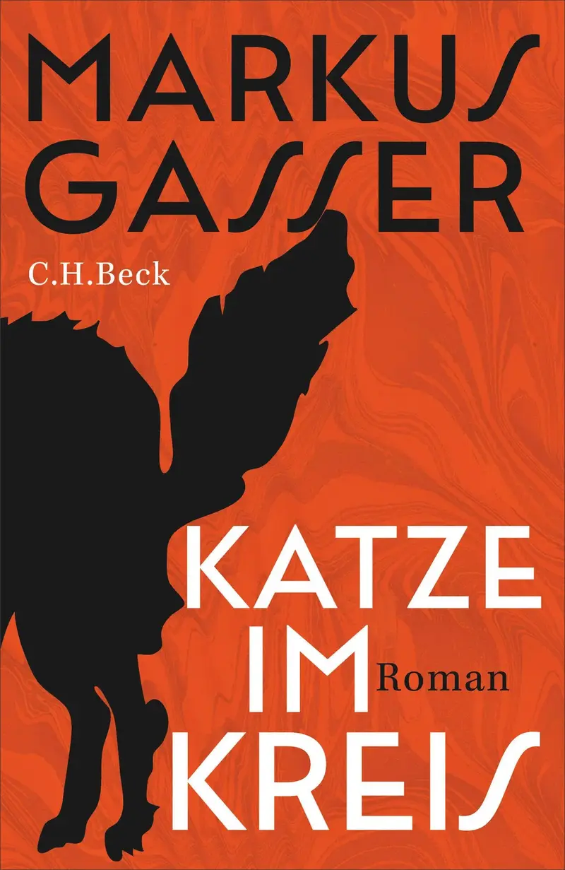 Katze im Kreis