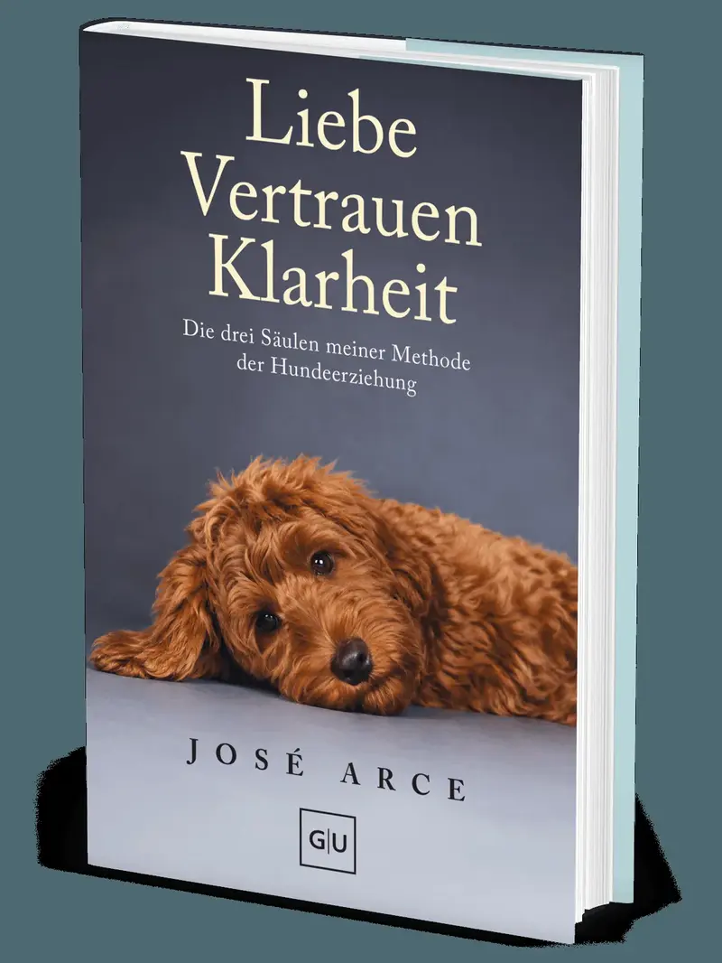 Liebe Vertrauen Klarheit