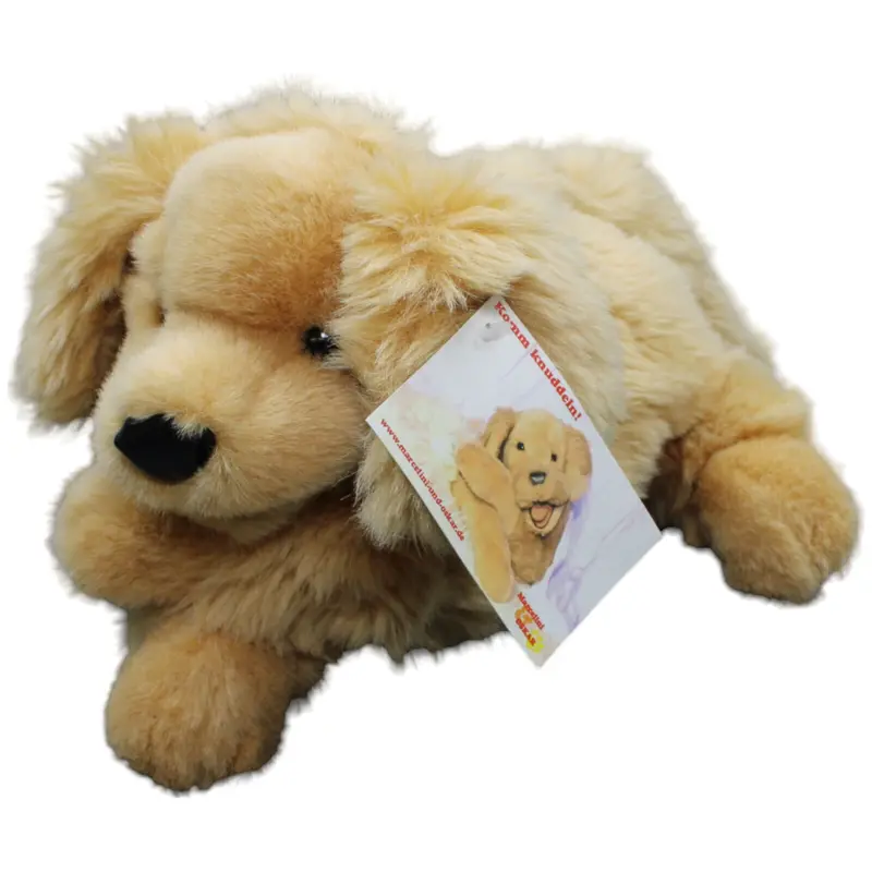 Marcelini und Oskar, Golden Retriever