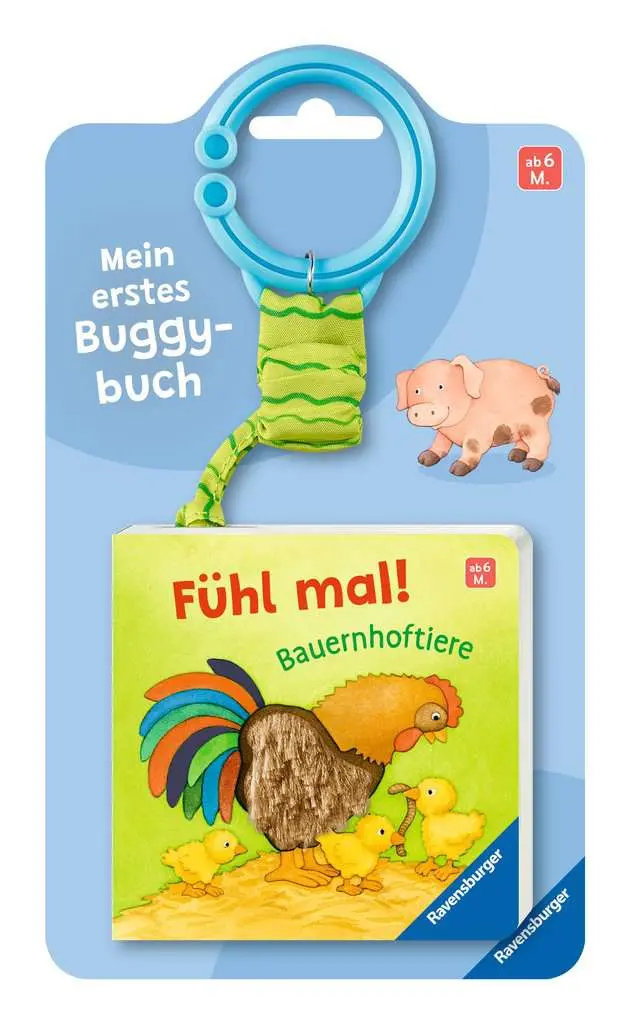 Mein erstes Buggybuch