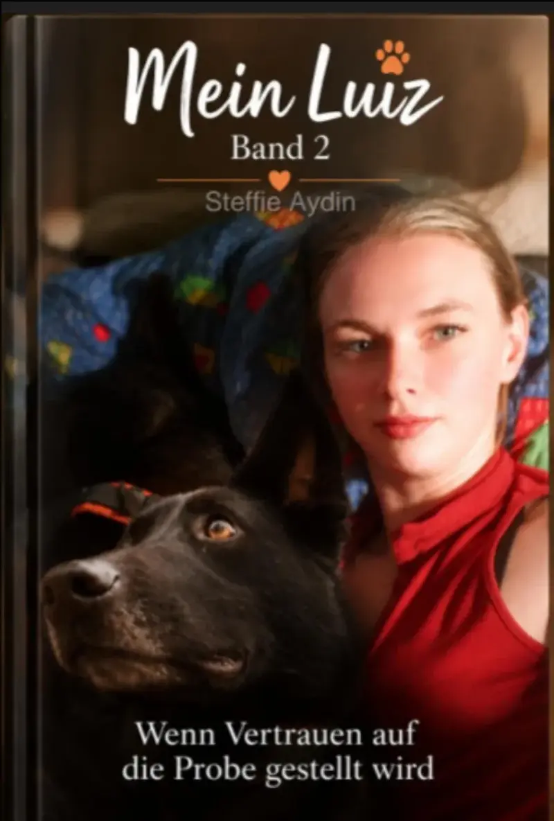 Mein Luiz Band 2