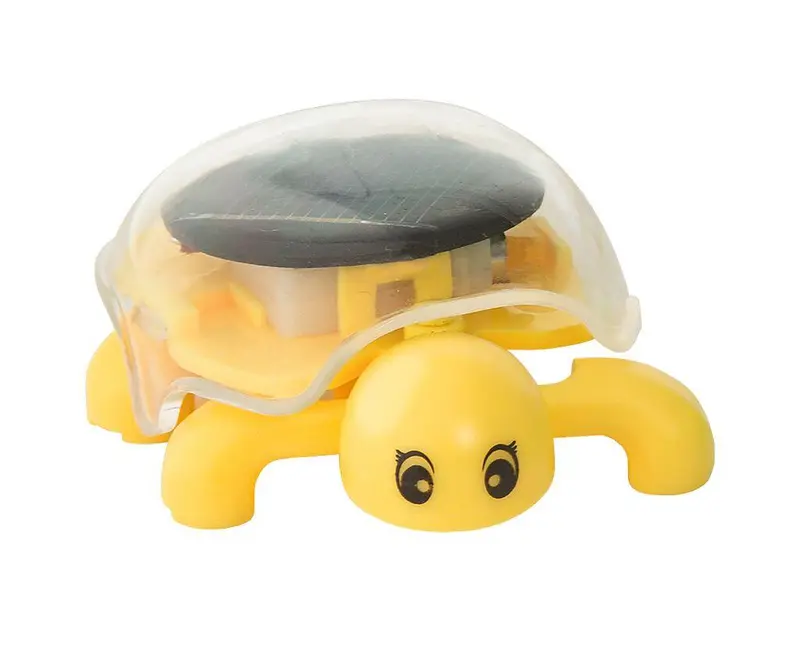 PhänoMINT Solar-Schildkröte