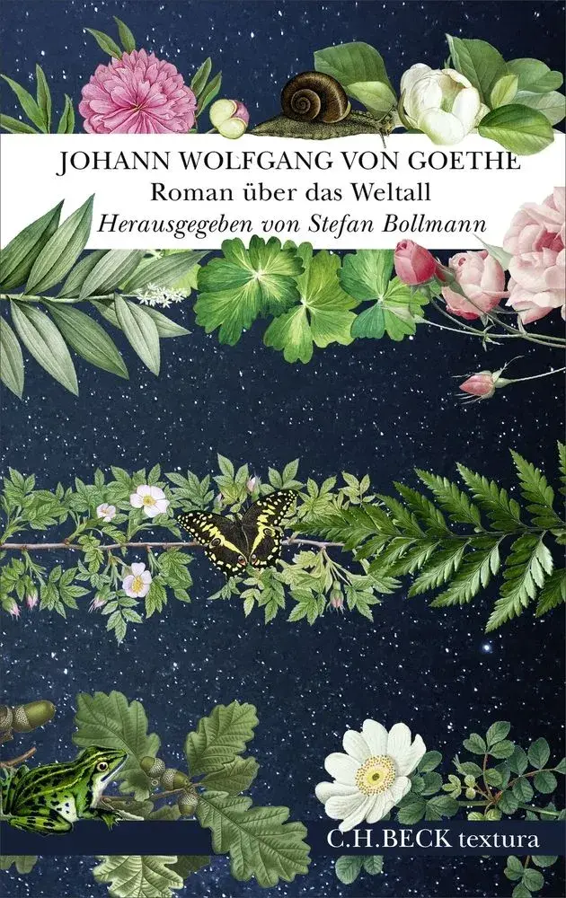 Roman über das Weltall