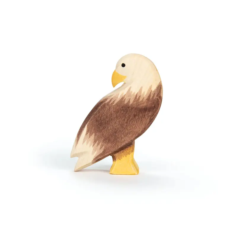 Seeadler stehend