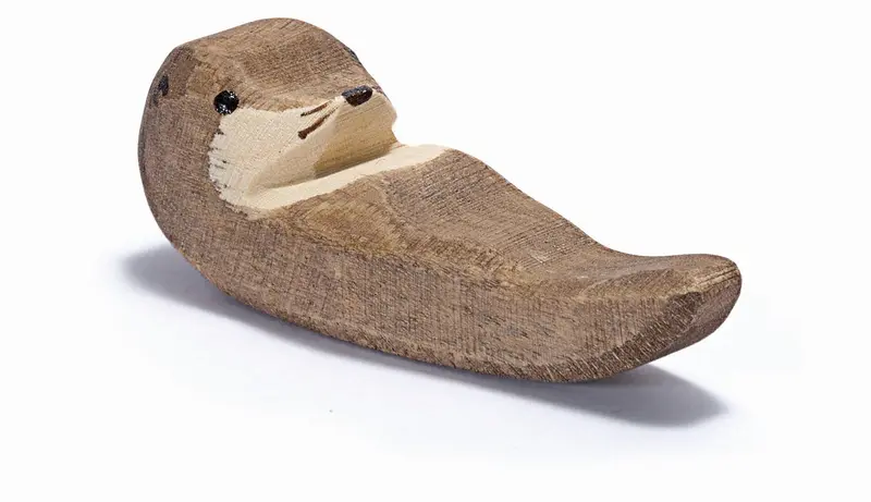 Seeotter klein schwimmend