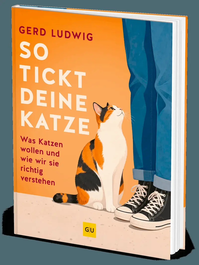 So tickt deine Katze
