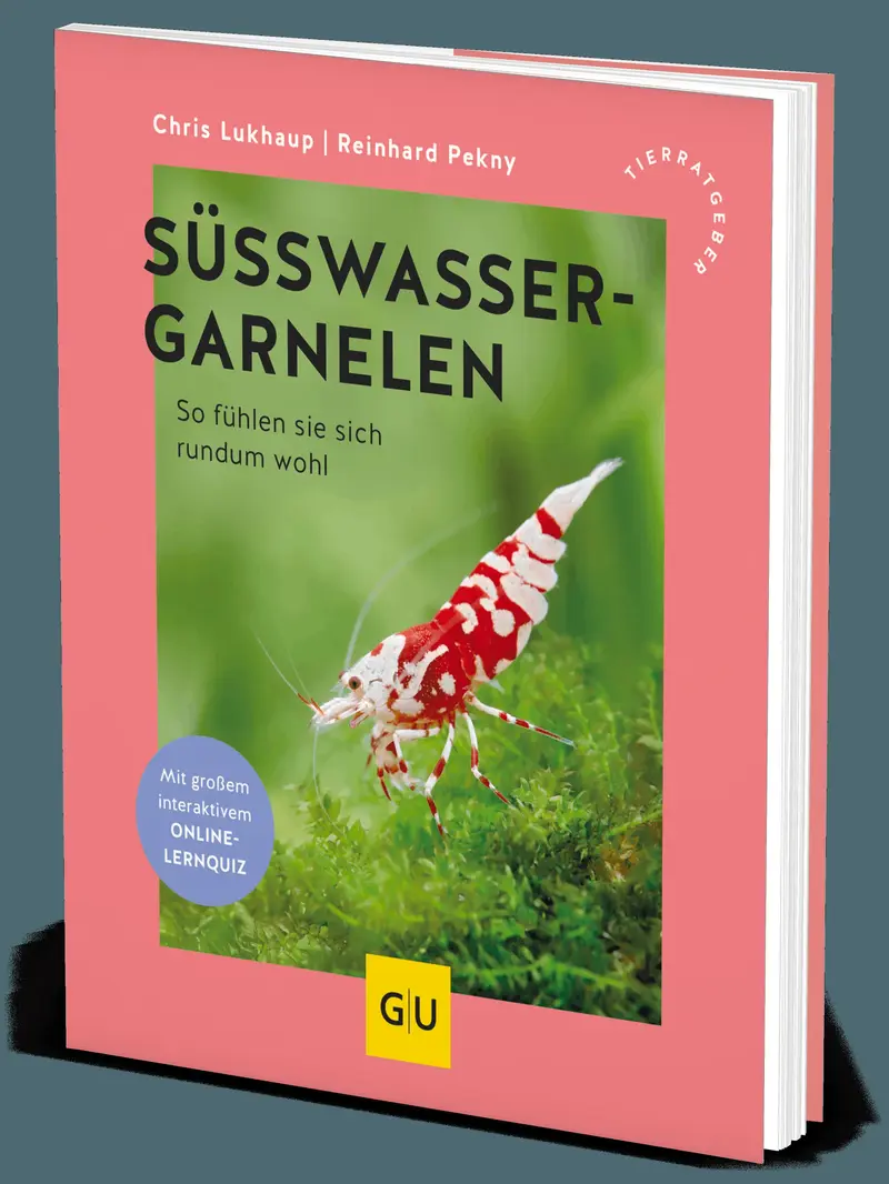 Süßwassergarnelen