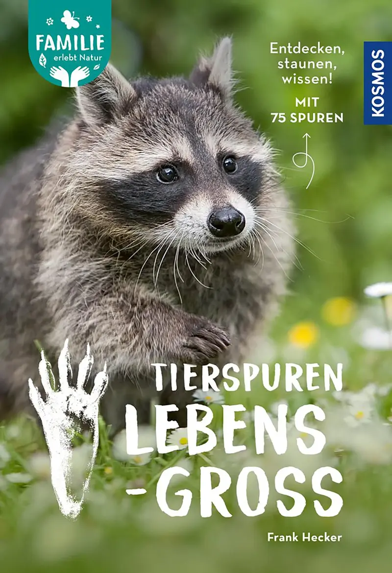 Tierspuren lebensgroß