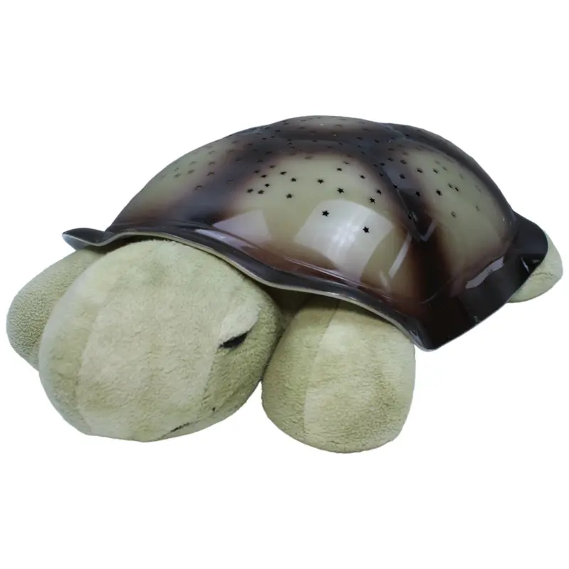 Twilight Turtle