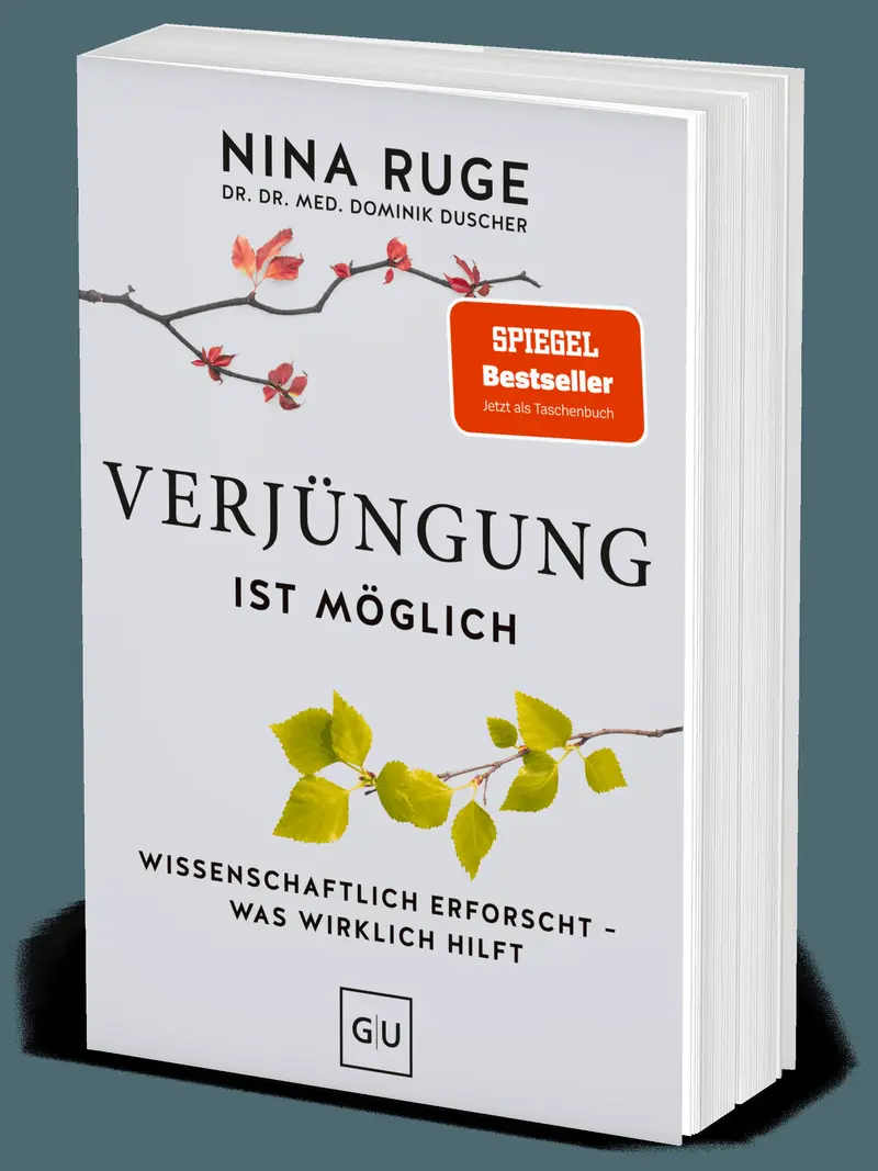 Verjüngung ist möglich