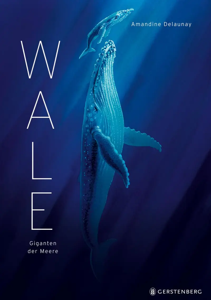 Wale - Giganten der Meere