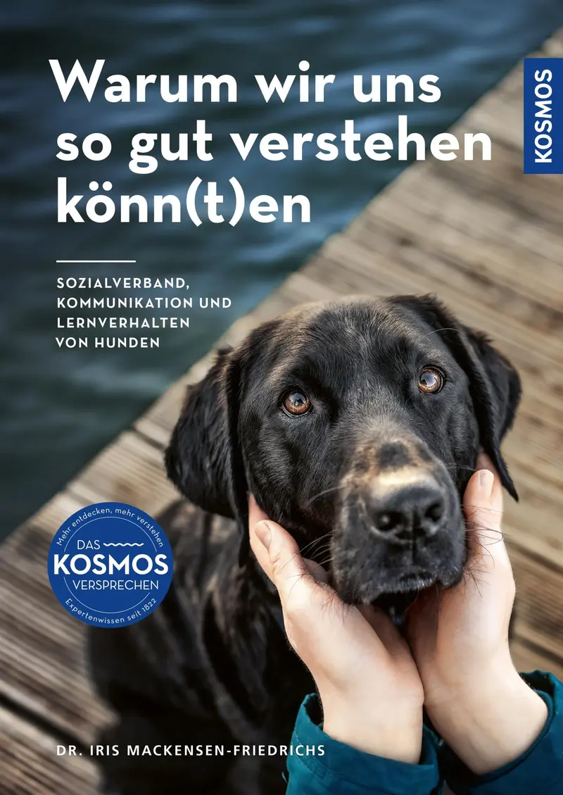 Warum wir uns so gut verstehen könn