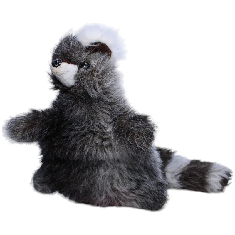 Waschbär
