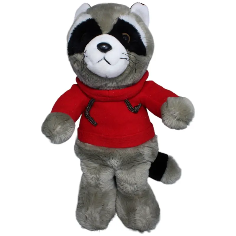 Waschbär mit Hoodie