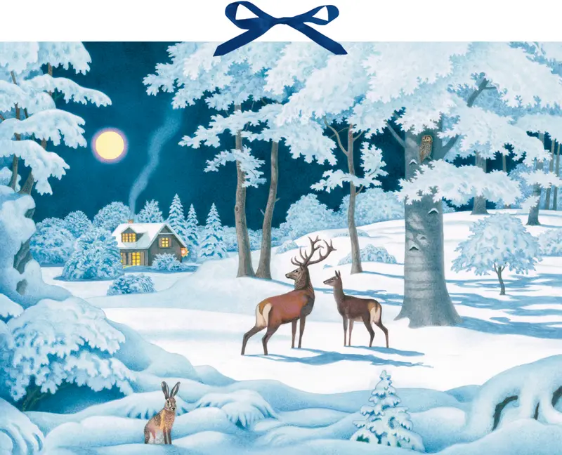 Wintertiere bei Nacht, Wand-Adventskalender