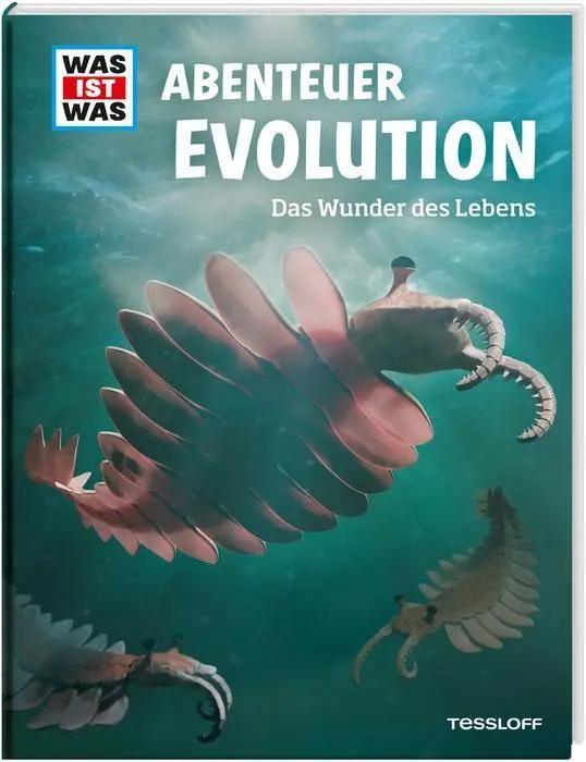 WIW Evolution Edition