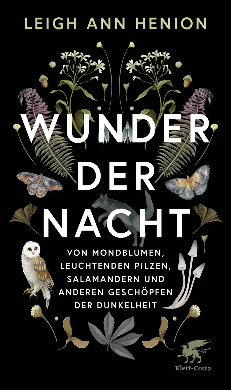 Wunder der Nacht