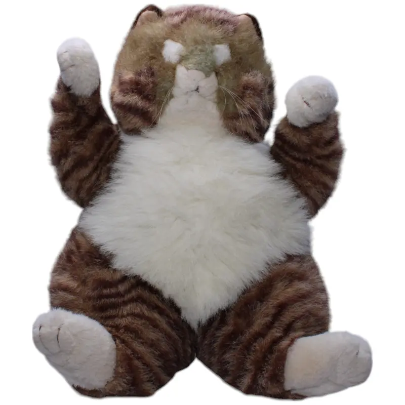 XL Schlafende Katze