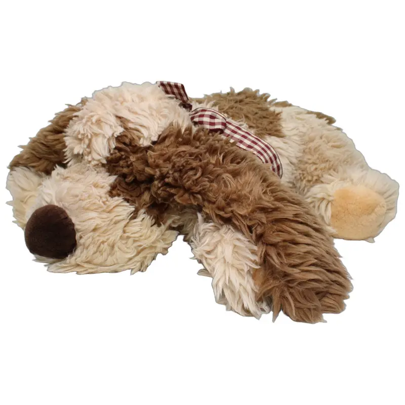 Zotteliger Hund mit Schlappohren, liegend