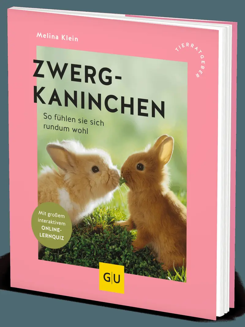 Zwergkaninchen